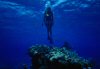 LeRoy French's underwater photographs